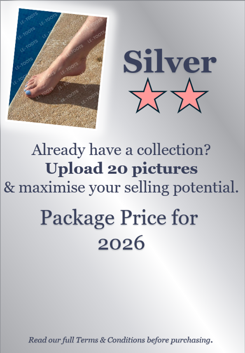 Silver Package